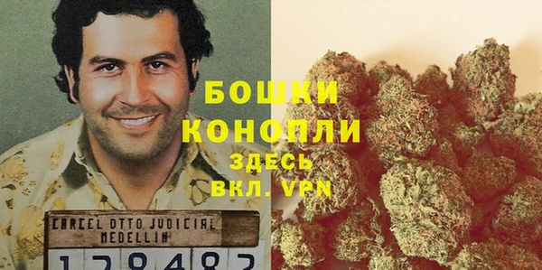 круглые Гусев
