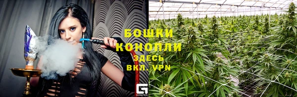 PSILOCYBIN Гусь-Хрустальный