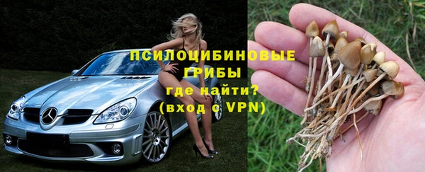 круглые Гусев