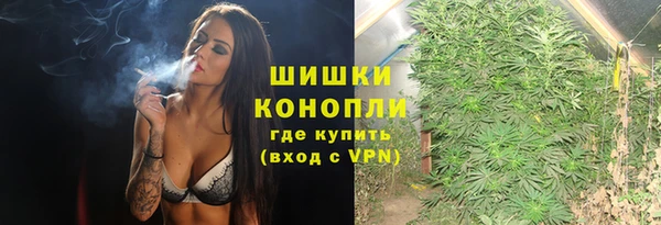PSILOCYBIN Гусь-Хрустальный