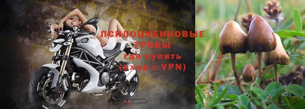 круглые Гусев