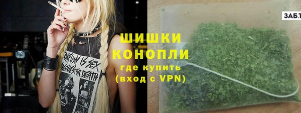 PSILOCYBIN Гусь-Хрустальный