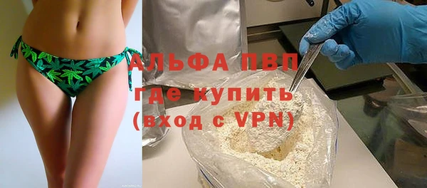 PSILOCYBIN Гусь-Хрустальный