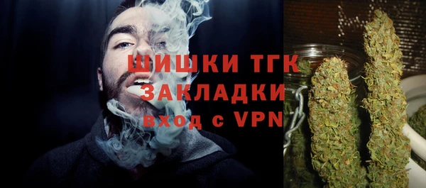 круглые Гусев